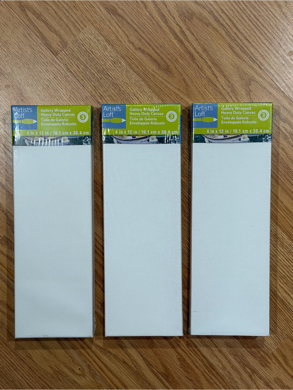 4x12 Gallery Wrapped Canvases